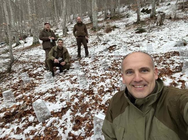 ЮЗДП ДП – Благоевград: Микро-градина с бук и ела създадоха в ДГС Якоруда