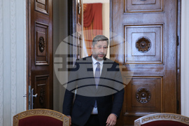 Румен Радев - партии - консултации - ДБ