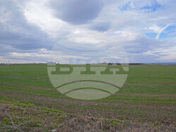 Снимка: Община Варна