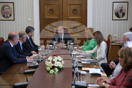 Румен Радев - партии - консултации - ДБ