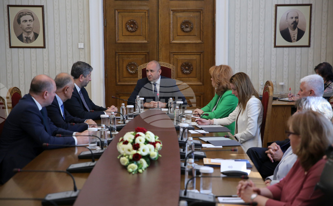  Румен Радев - партии - консултации - ДБ