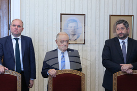 Румен Радев - партии - консултации - ДБ