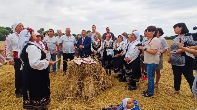 Министър Иван Иванов: Очертава се добра година за реколтата от пшеница