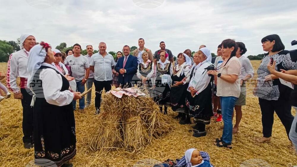Bulgaria Expects Bumper Wheat, Sunflower Harvest