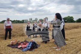 Село Боздуганово - жътвена кампания