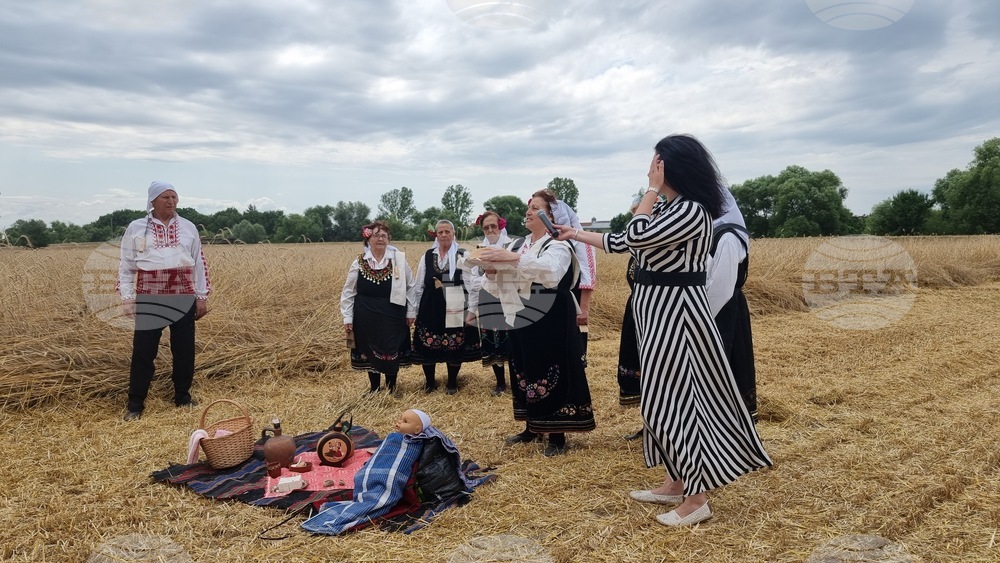 Село Боздуганово - жътвена кампания