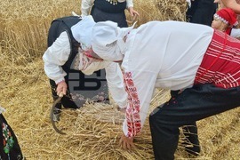 Село Боздуганово - жътвена кампания