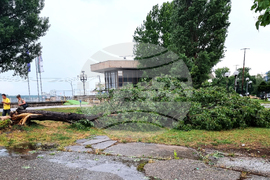 Видин - буря - силен дъжд и градушка