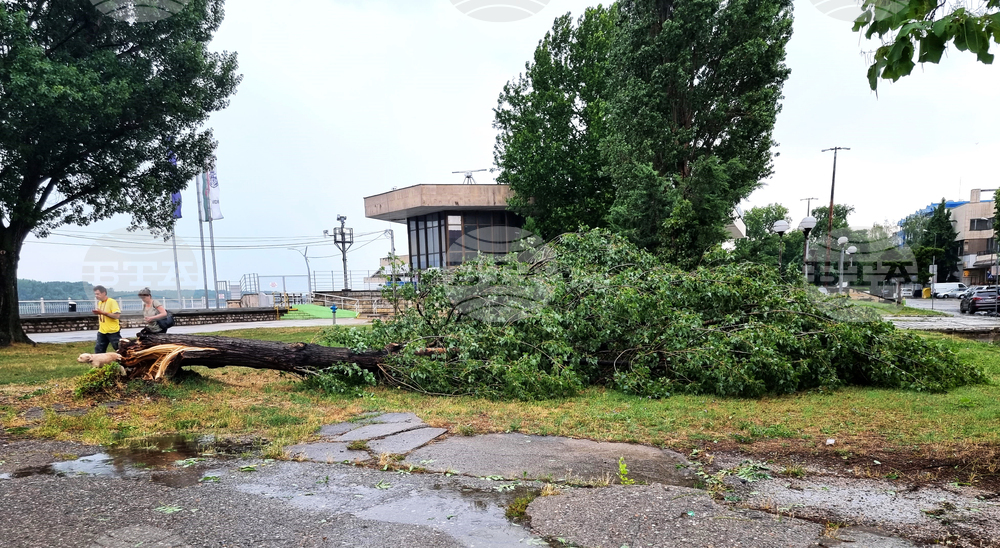 Видин - буря - силен дъжд и градушка