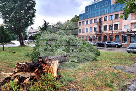 Видин - буря - силен дъжд и градушка