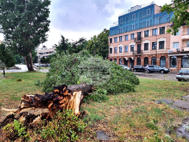 Видин - буря - силен дъжд и градушка