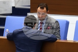 Парламент - парламентарен контрол - Богдан Богданов