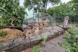 Видин - ураганен вятър - щети