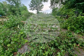 Видин - ураганен вятър - щети