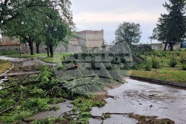 Видин - ураганен вятър - щети