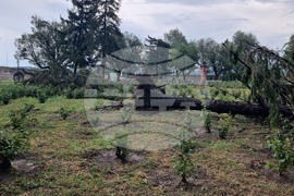 Видин - ураганен вятър - щети