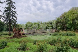 Видин - ураганен вятър - щети