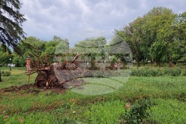 Видин - ураганен вятър - щети