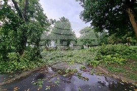 Видин - ураганен вятър - щети