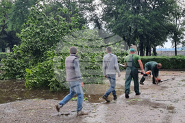 Видин - ураганен вятър - щети