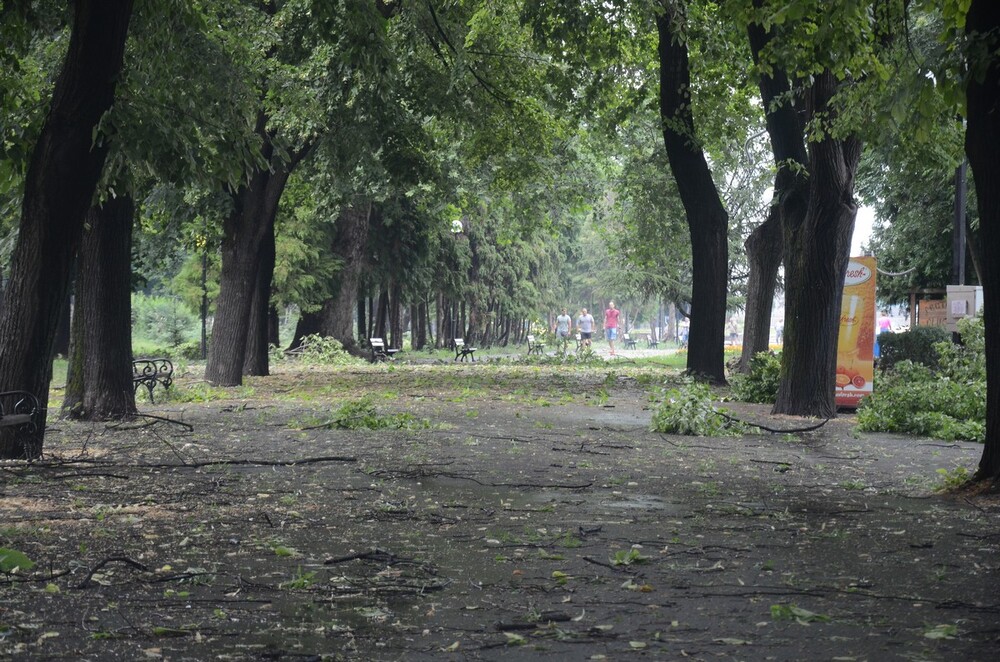 Паднали дървета, счупени клони и повредени автомобили след силната буря във Видин