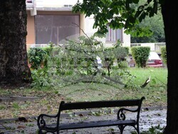 Снимка: Община Видин