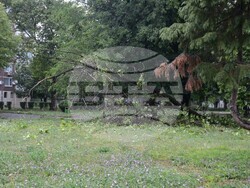 Снимка: Община Видин