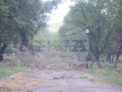 Снимка: Община Видин