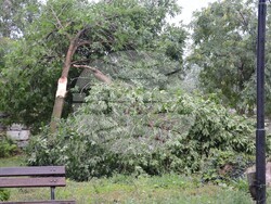 Снимка: Община Видин