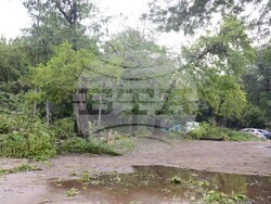 Снимка: Община Видин