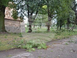 Снимка: Община Видин