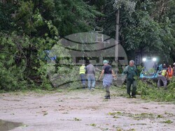 Снимка: Община Видин