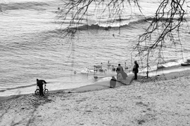 Лебеди на варненския плаж