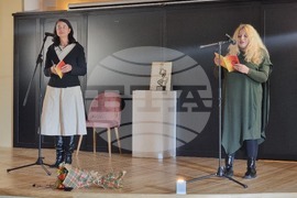 Видин - Илияна Кръстева - стихосбирка - представяне