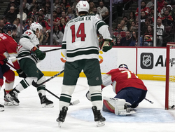 Wild Panthers Hockey