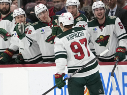 Wild Panthers Hockey