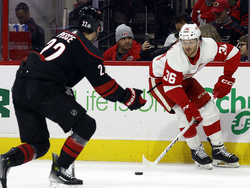 Red Wings Hurricanes Hockey