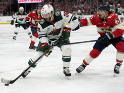 Wild Panthers Hockey