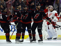 Red Wings Hurricanes Hockey