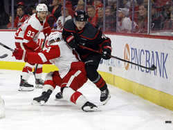 Red Wings Hurricanes Hockey