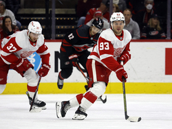 Red Wings Hurricanes Hockey