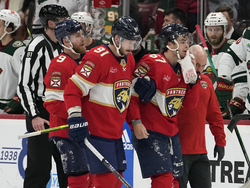 Wild Panthers Hockey