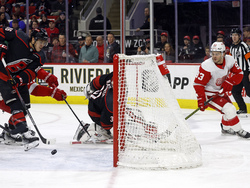 Red Wings Hurricanes Hockey
