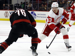 Red Wings Hurricanes Hockey