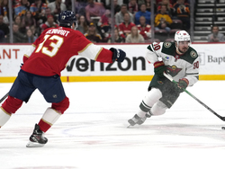 Wild Panthers Hockey