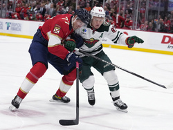 Wild Panthers Hockey