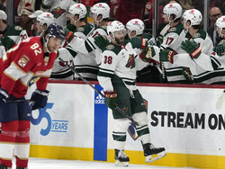 Wild Panthers Hockey