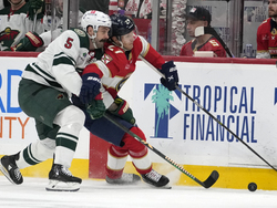 Wild Panthers Hockey