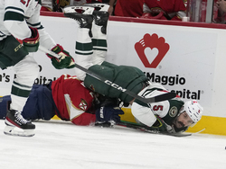 Wild Panthers Hockey