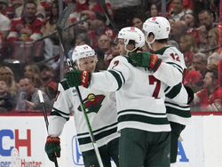 Wild Panthers Hockey